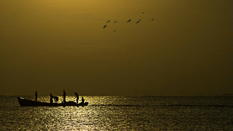 Silhouettes of fishermen working on a small boat on the sea at sunrise, with birds flying overhead