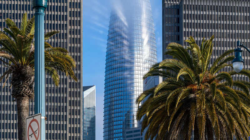 Salesforce Tower in San Francisco wrapped in fog, framed by palm trees and office buildings