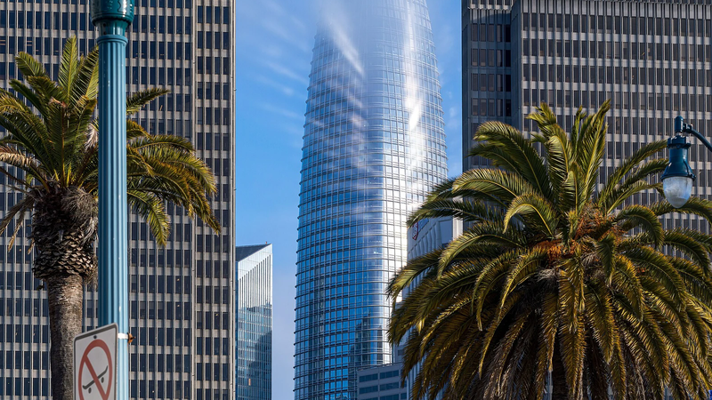 Salesforce Tower in San Francisco wrapped in fog, framed by palm trees and office buildings