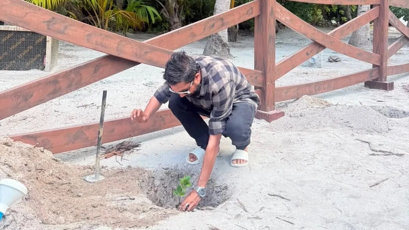 A man crouches on sandy ground beside a wooden fence, planting a small green sapling in a freshly dug hole.