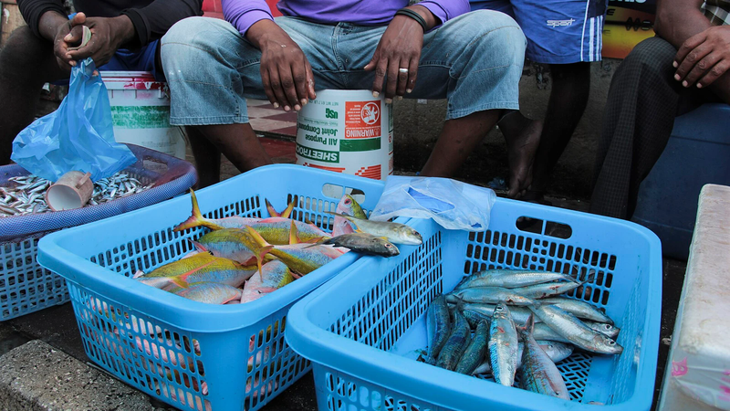 Blue plastic baskets of fresh reef fish and small silver fish in front of seated vendors at a market in Male