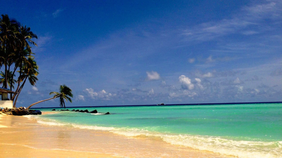 Golden sand beach with turquoise water and leaning palm trees beside Kaani Beach Hotel in Maafushi, Maldives