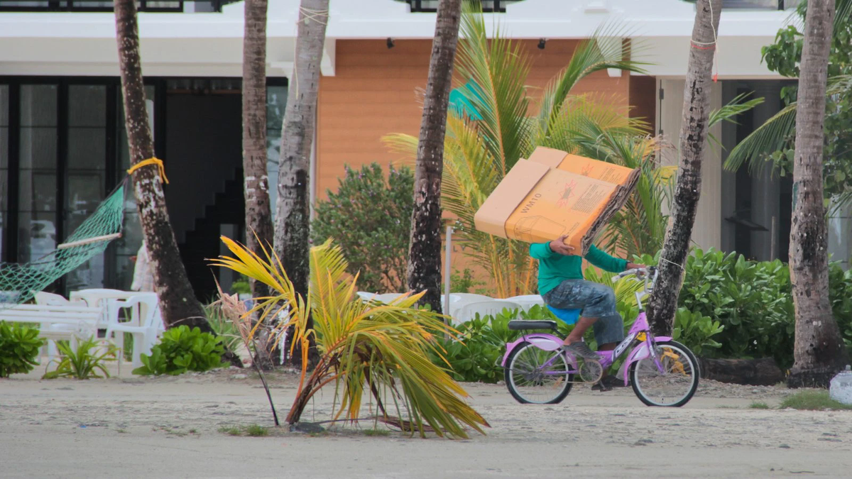 Person on a purple bicycle carrying a cardboard box along a sandy street past a guesthouse with palm trees in Maafushi, Maldives