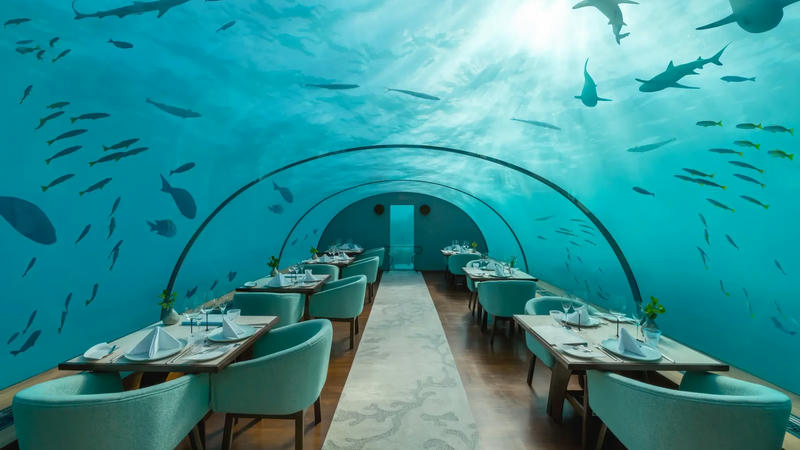 Dining tables inside a curved glass tunnel under the sea, with sharks and fish swimming overhead